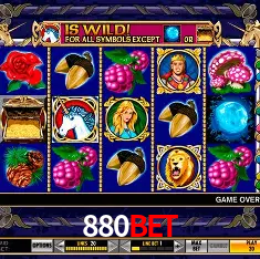 880bet Rio de Janeiro - Bonus Terms